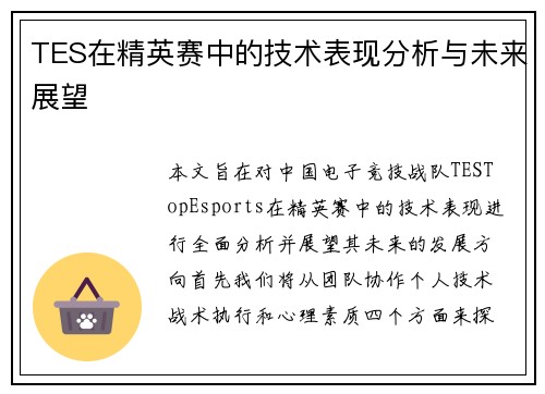 TES在精英赛中的技术表现分析与未来展望